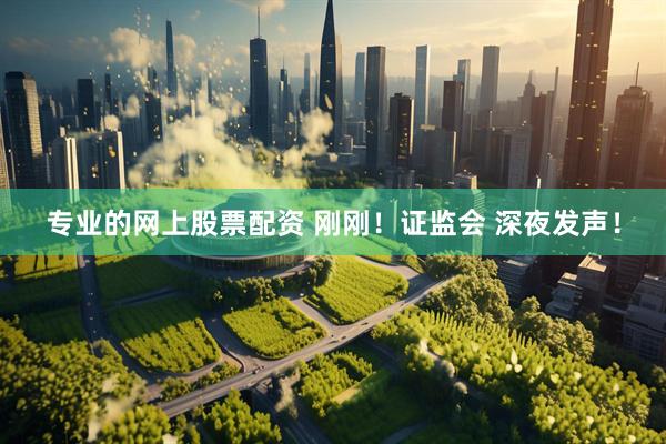 专业的网上股票配资 刚刚！证监会 深夜发声！