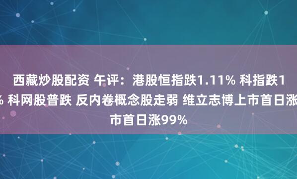 西藏炒股配资 午评：港股恒指跌1.11% 科指跌1.69% 科网股普跌 反内卷概念股走弱 维立志博上市首日涨99%